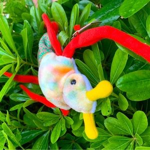 Ty Scurry The Insect 🐞 Beanie baby #20